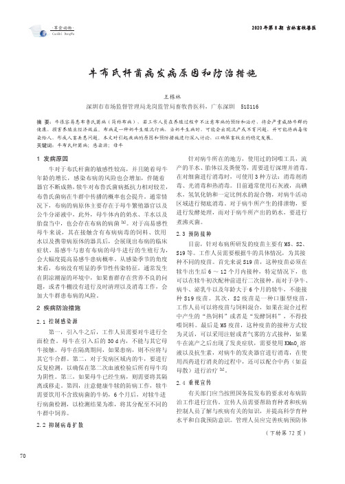 牛布氏杆菌病发病原因和防治措施