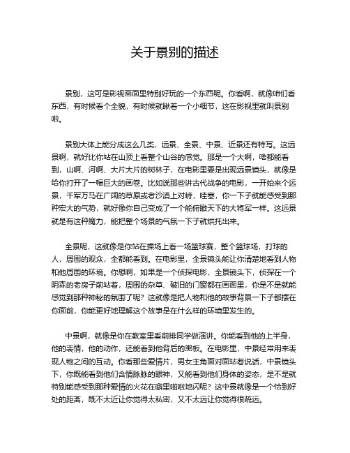 关于景别的描述