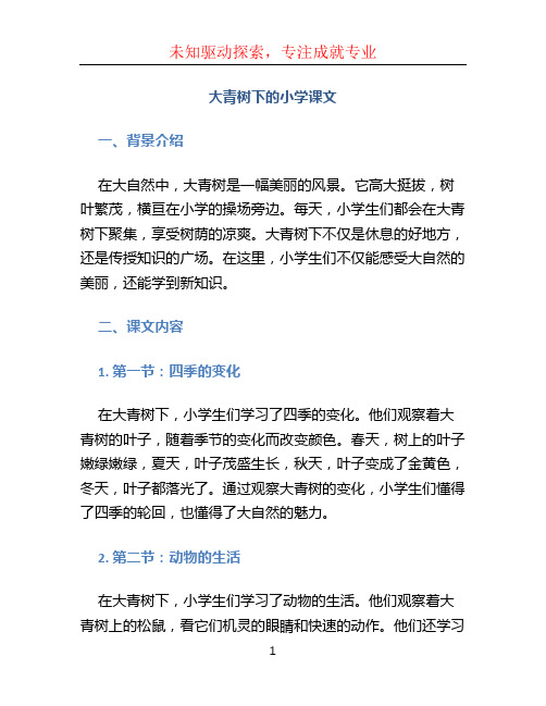 大青树下的小学课文 (2)