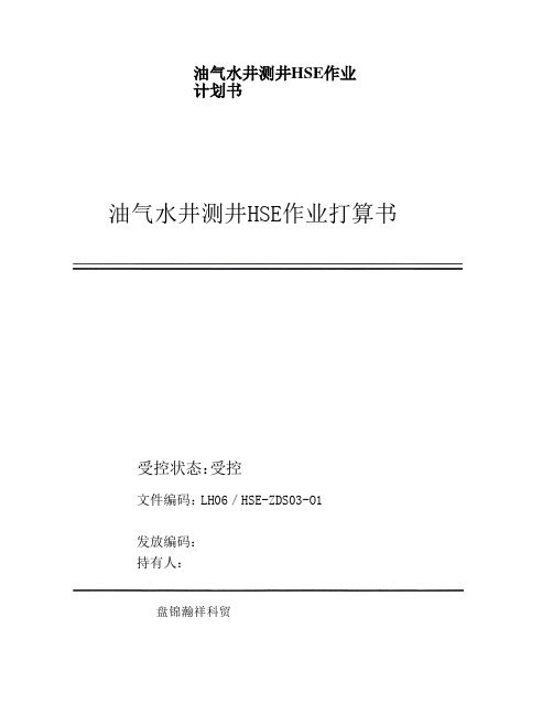 油气水井测井HSE作业计划书