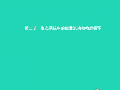 八年级生物上册19.2生态系统中的能量流动和物质循环课件(新版)苏教版