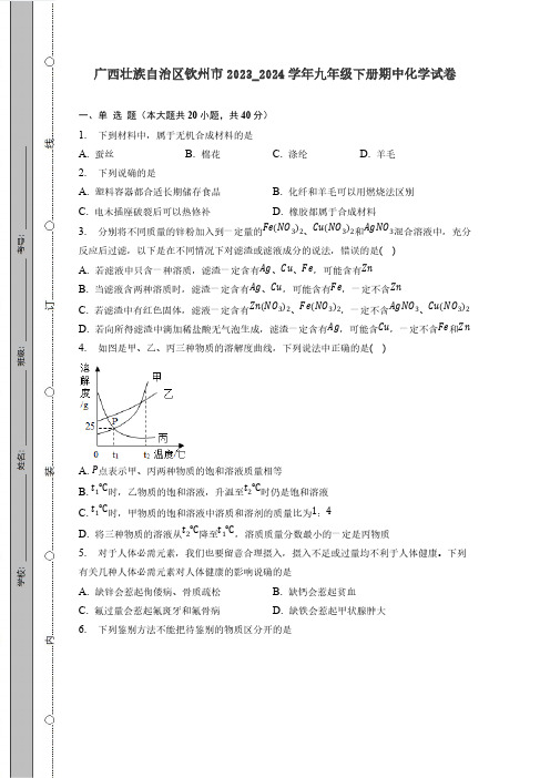 广西壮族自治区钦州市2023_2024学年九年级下册期中化学试题(含答案)