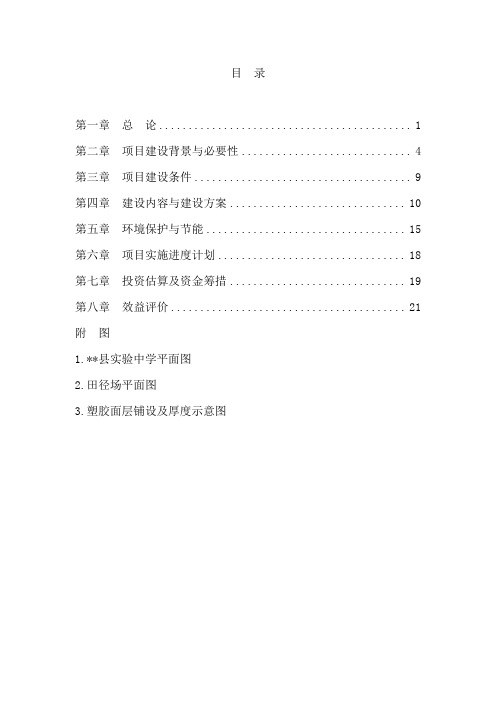 标准田径场改造工程项目可行性研究报告