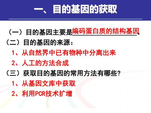 生物选修三专题一基因工程PPT课件