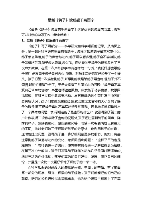 最新《鸽子》读后感千两百字