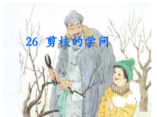 三年级语文剪枝的学问1(201911新)