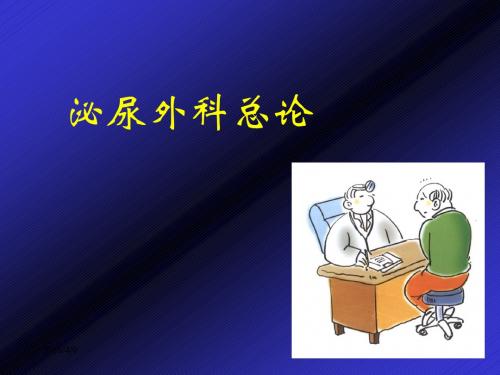 泌尿外科总论