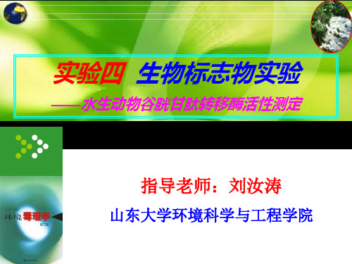 生物标志物实验ppt-PowerPointPresen