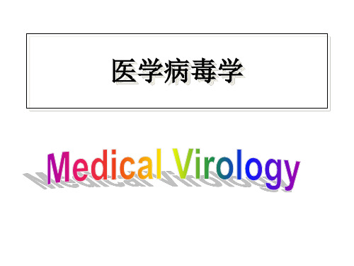 病毒学教学课件