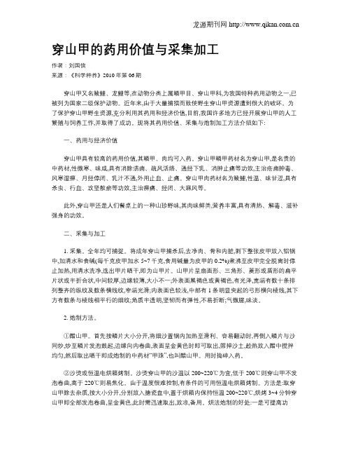 穿山甲的药用价值与采集加工