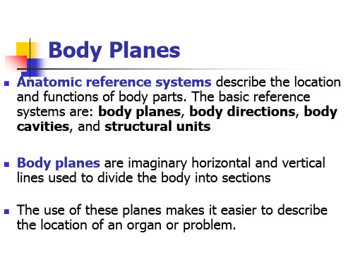 Planes & Body Cavities计划cavities &体