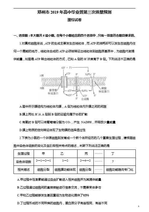 【理科综合试卷】2019年郑州高三三模考试