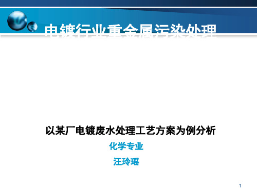 电镀行业重金属污染处理 共24页