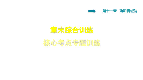 年春人教版八年级物理下册课件:第十二章章末综合训练核心考点专题训练(共35张PPT)