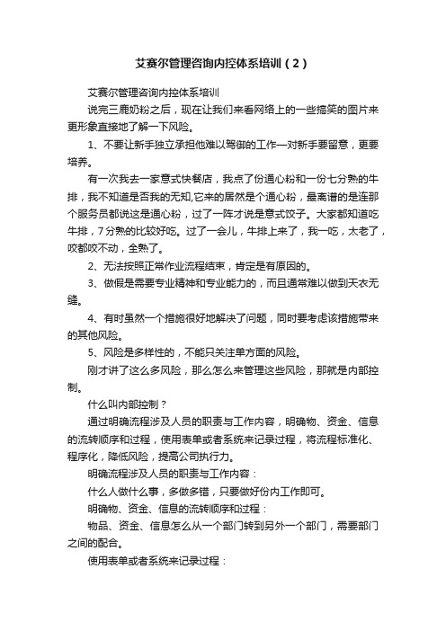 艾赛尔管理咨询内控体系培训（2）