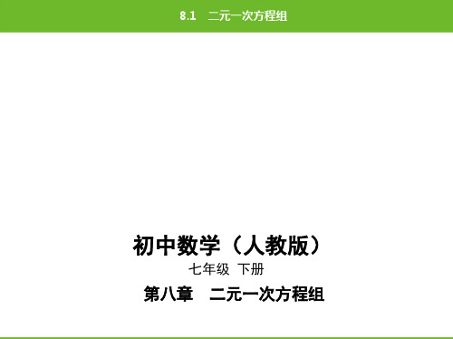 最新人教版七年级下册数学辅导班同步培优课件19-第八章8.1二元一次方程组