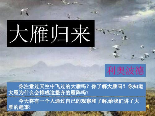 部编版八年级下册语文《大雁归来》PPT课件说课教学