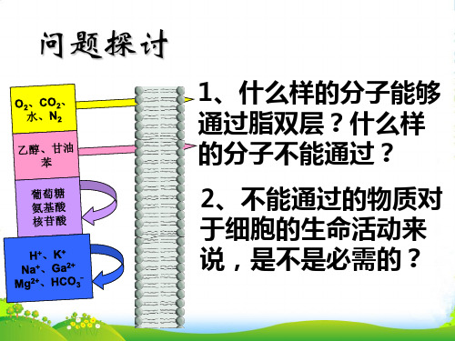 人教版高中生物必修一课件：4.3物质跨膜运输的方式 (共34张PPT)