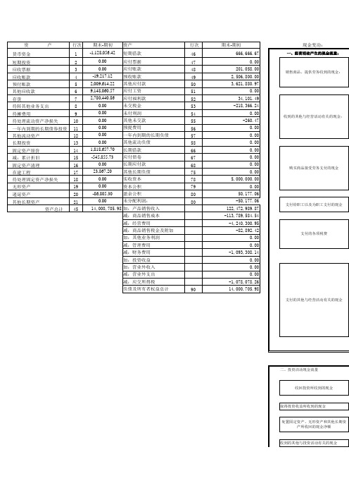 现金流量表空白模板