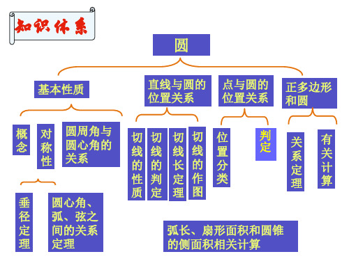 初三数学圆的复习课件_一轮复习