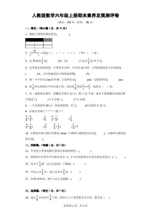 人教版数学六年级上册期末素养发展测评卷-(附答案)