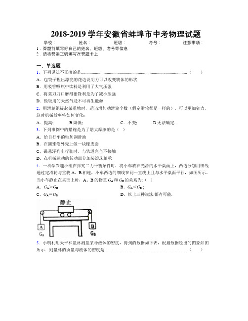 最新2018-2019学年安徽省蚌埠市中考物理试题及解析