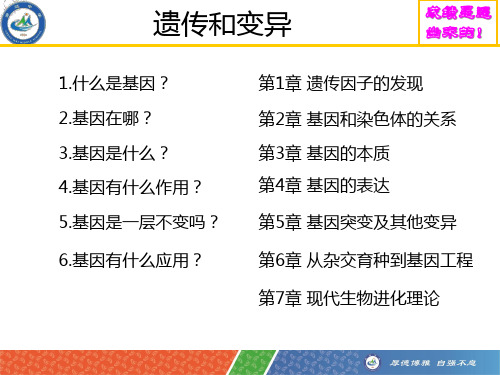 新教材生物《遗传因子的发现》教学课件1