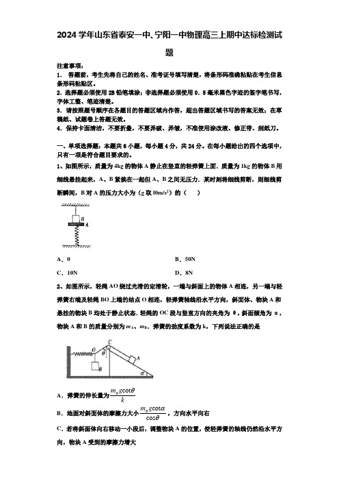 2024学年山东省泰安一中、宁阳一中物理高三上期中达标检测试题含解析