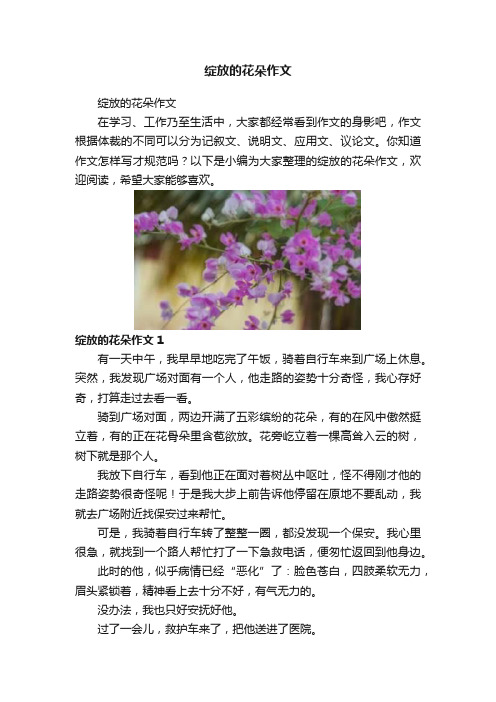 绽放的花朵作文