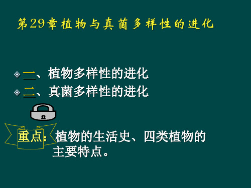 29 植物与真菌多样性的进化