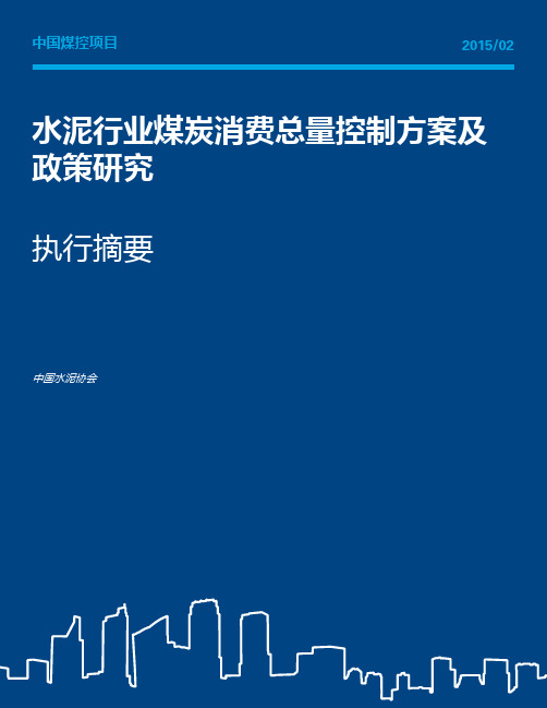 中国煤控项目201502