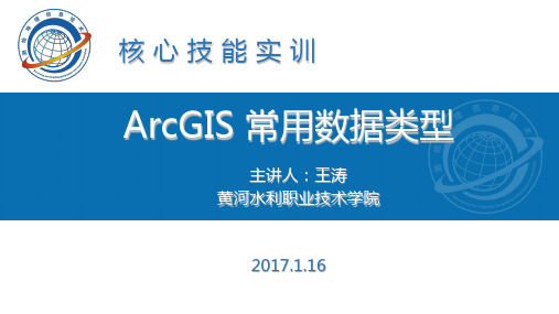 ArcGIS常用的数据类型(精)