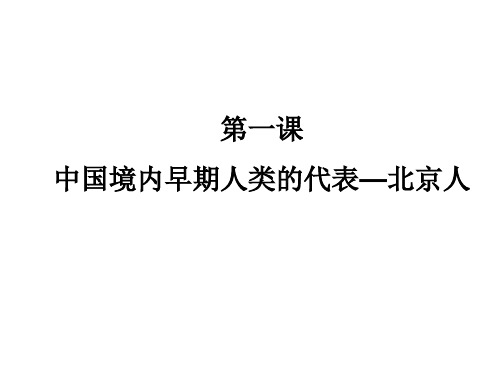 人教部编版七年级历史上册 第一课 中国境内早期人类的代表—北京人课件(共20张PPT)