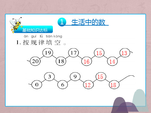 一年级上册数学课件 - 总复习单元    北师大版(共61张PPT)