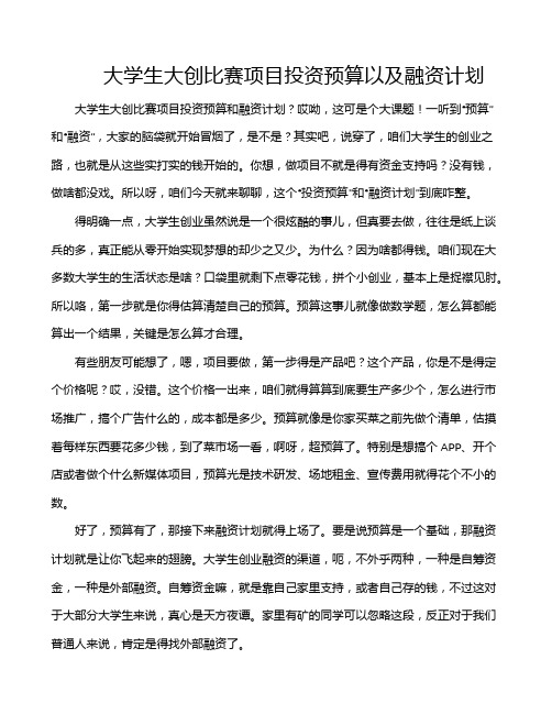 大学生大创比赛项目投资预算以及融资计划