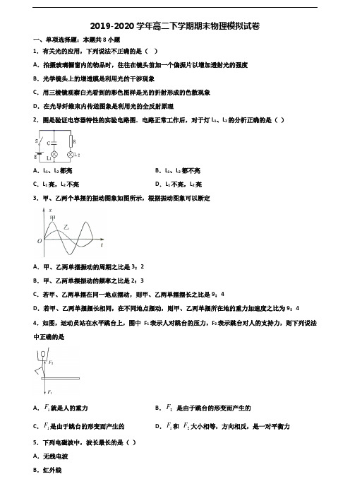 广西省玉林市2020年新高考高二物理下学期期末经典试题