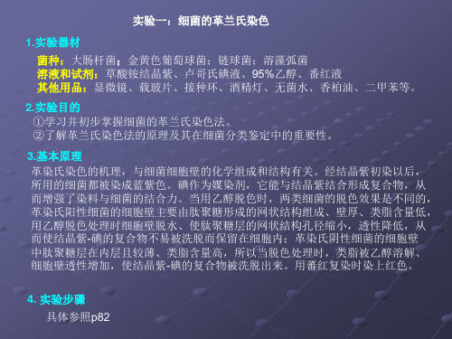 细菌的革兰氏染色1试验器材菌种