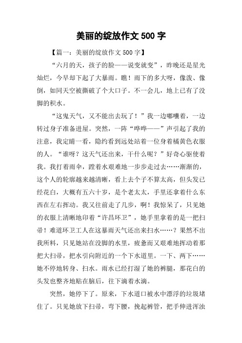 美丽的绽放作文500字