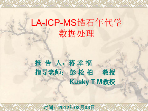 LA-ICP-MS锆石年代学数据处理