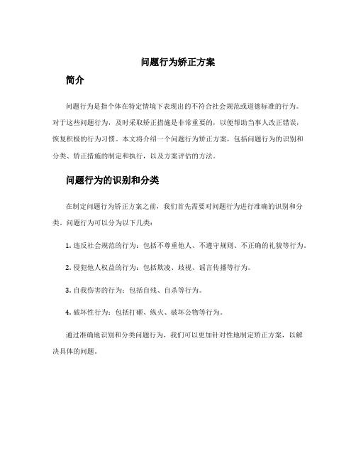 问题行为矫正方案