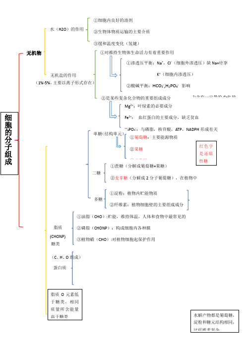 高考生物复习浙科版必修一第一章细胞的分子组成思维导图