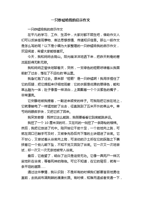 一只蚱蜢给我的启示作文