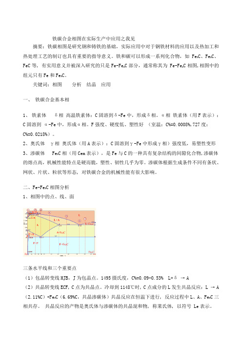 铁碳合金相图分析应用