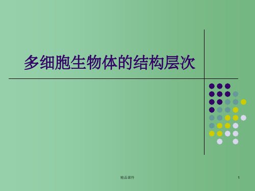 七年级生物上册 1.2.3 多细胞生物体的结构层次课件 (新版)济南版