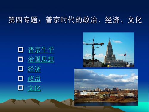 第八专题普京时代的政治、经济、文化