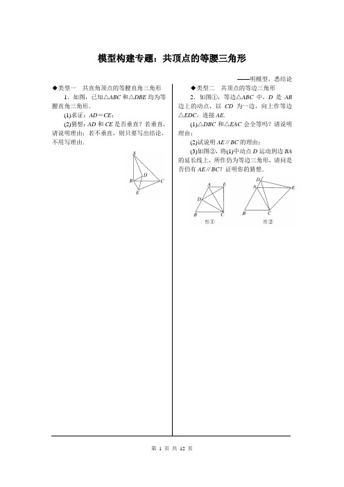 人教版八年级数学上册7.模型构建专题：共顶点的等腰三角形