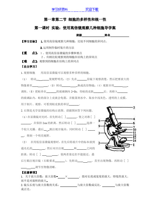 使用显微镜观察几种细胞导学案