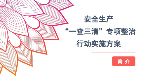 《安全生产“一查三清”专项整治行动实施方案》简介