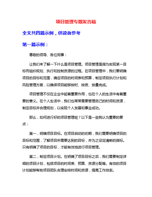 项目管理专题发言稿