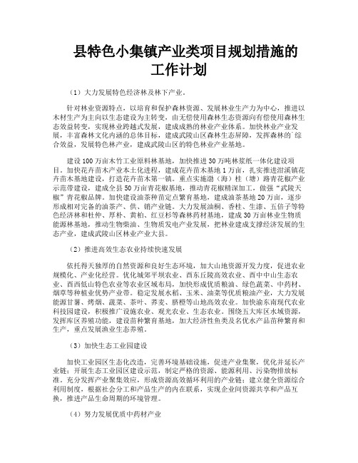 县特色小集镇产业类项目规划措施的工作计划